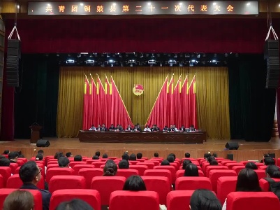 共青团铜鼓县第二十一次代表大会召开