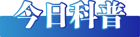 今日辟谣（2024年12月18日）